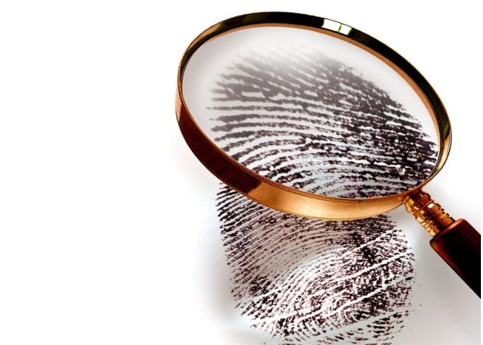 Corporate fraud investigation main product photo